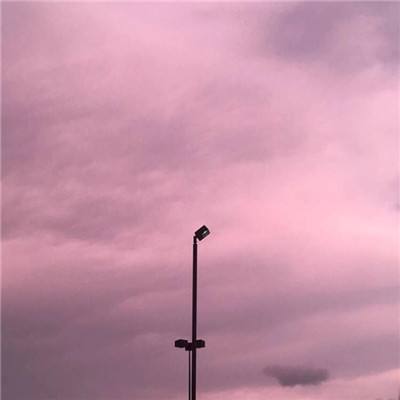 天成彩票手机app下载