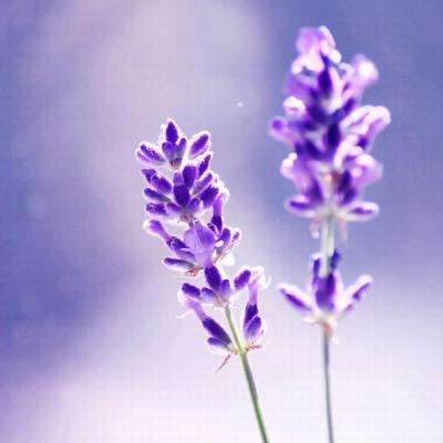 888电玩城游戏厅app下载