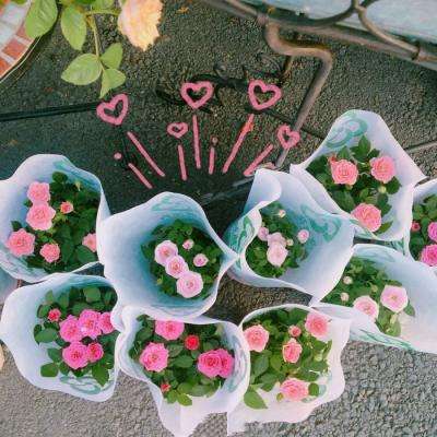 beat365手机版官方网站手机app下载